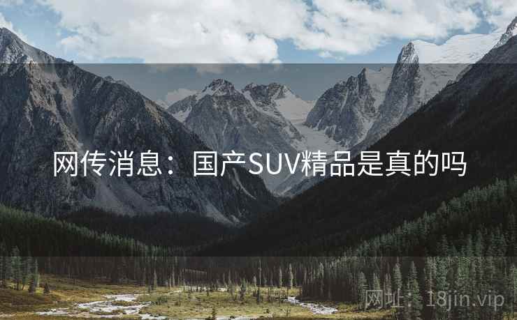 网传消息：国产SUV精品是真的吗