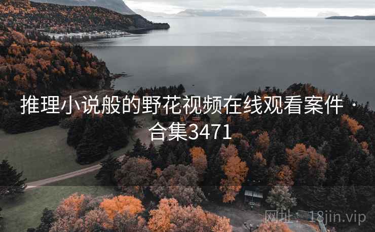 推理小说般的野花视频在线观看案件 · 合集3471